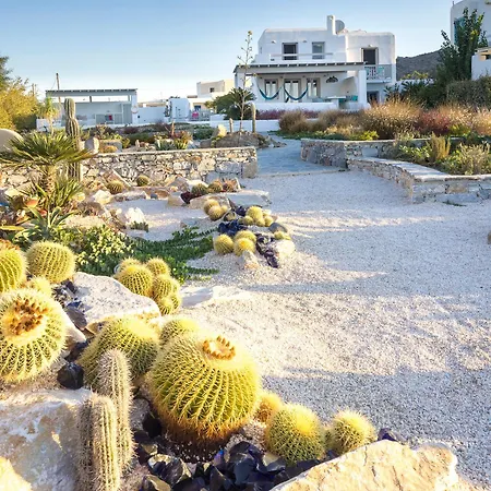 Depis Sea Side Private Naxos Villa *