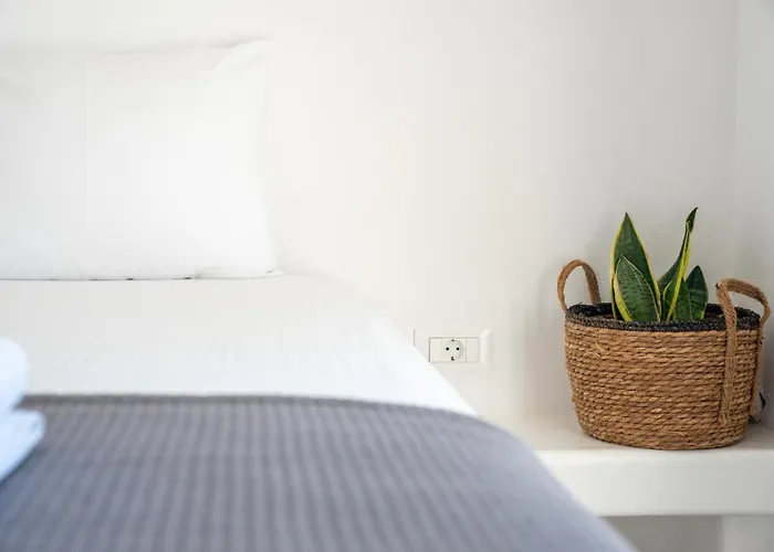 Depis Edem Private Naxos *